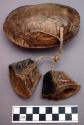 Leg rattle of turtle shell with buffalo hoof pendants