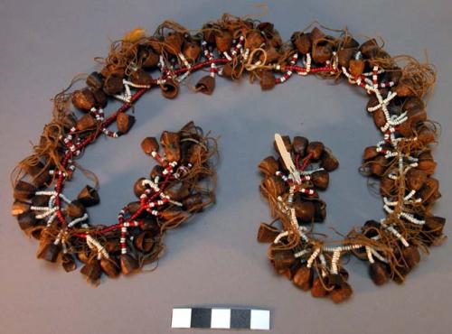 Seed necklaces