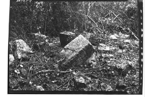 Temple of the Lintel, Old Chichen, showing hieroglyphic lintel before felling of