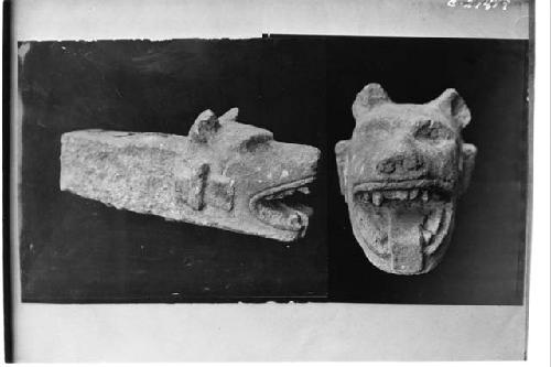 Dog's head from small ball court East of Warriors; Structure 2D9