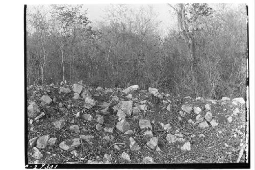 Casa Redonda. View top of mound before excavation.