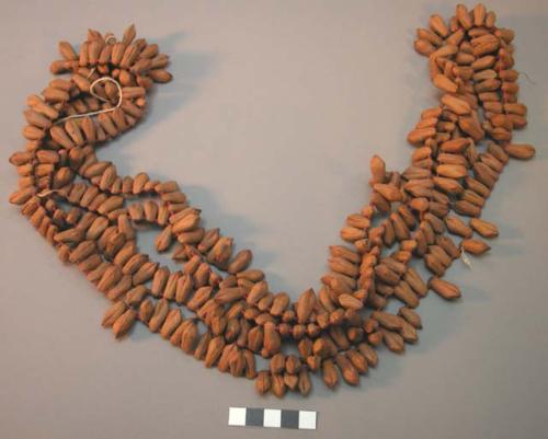 Seed necklaces or bandoleers