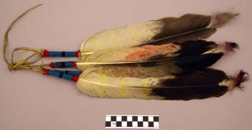Sets of scalp feathers (or horse tail ornaments)