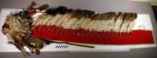 'Medicine hat' or warbonnet owned by Gros-Ventre Ahpewesha