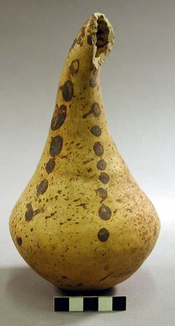 San bernardo black on yellow potery gourd-shape jar