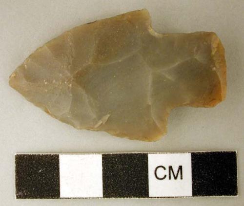 Chipped stone, stemmed projectile point