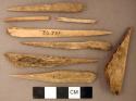 Organic, faunal remains, bone perforators, fragments