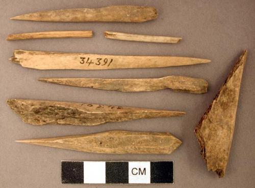 Organic, faunal remains, bone perforators, fragments