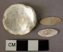 Shell disc and 2 leaf-shaped shell pieces