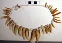 Necklace of teeth and glass beads