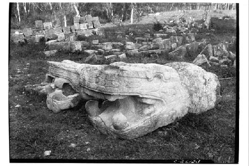 Serpent-heads fallen in debris at base of Castillo