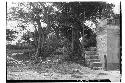 Church in distance from gate near school house