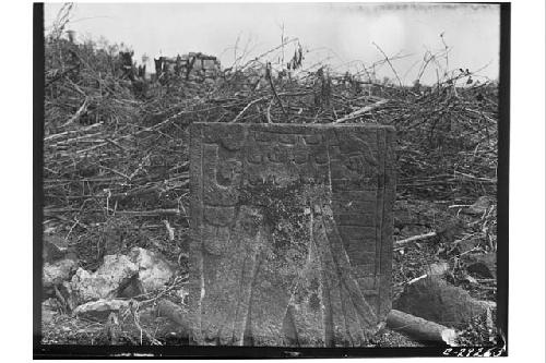 Caracol, S. Annex, portion of sculptured door jamb found on surface.