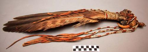Blackfoot eagle wing wand. Decorated w/ leather, quills, hooves, and bear claw