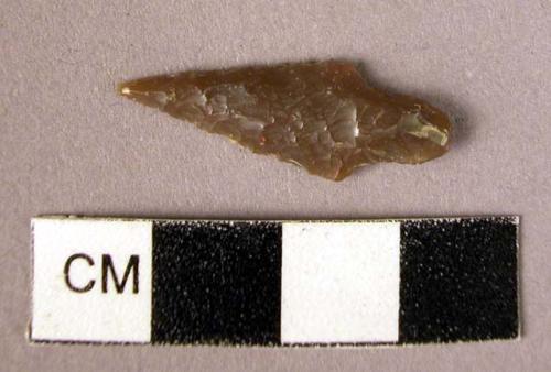 Arrowhead, flint, small, tanged