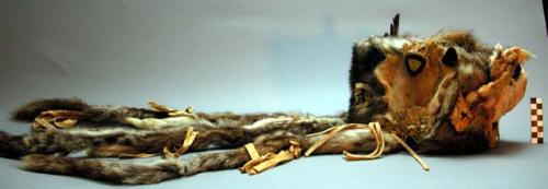 Man's wide head band of double marmot skin. A long 'tail' of marmot skin.