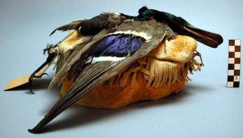 Woman's cap ornamented with head and wings of duck.