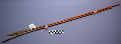 Arrows with bone head and wooden shaft (with bow 29177)