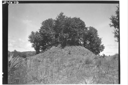 One of large mounds (northern most pyramid)