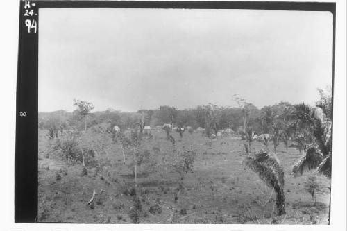 View of Settlement of Baking Pot from North from Top of Mound E