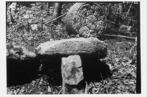 Stela 10; upper part, left side