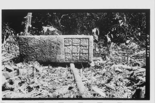 Altar 2 - first hieroglyphic support, S. corner