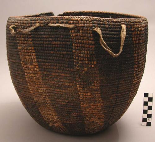 Basket and carrying band (tump line)