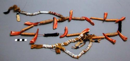 Man's necklace of wooden tubes and horse teeth painted red. String of hemp