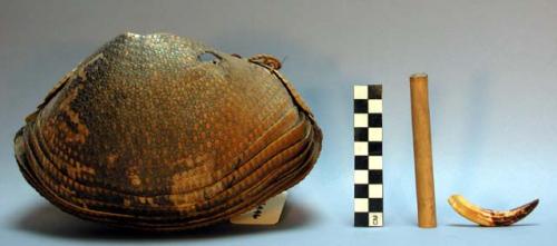 Armadillo skin receptacle