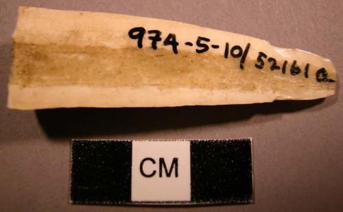 Fragment of ivory