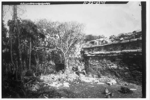 Backs (South facade) of Temple 7 and 10