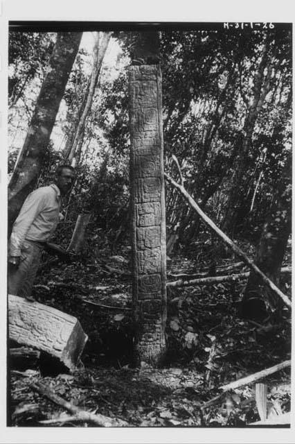 Stela 11; right side, lower section in situ