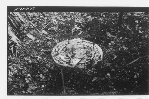 Structure 14 (Ball Court); sculpted disk, middle of court