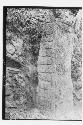 Stela 28 - left side