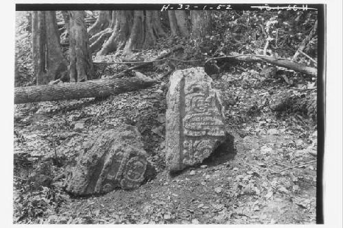 Stela 39 and 40 - top fragments