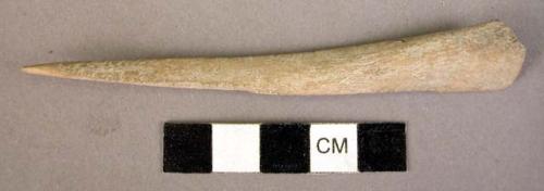 Bone needle