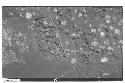 Mound I : 7 Section of N. talud and step at N. penetrating trench.