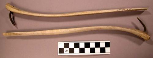 Long bone, with iron hook at one end.