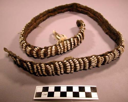 Belt ornamented with teeth of deer