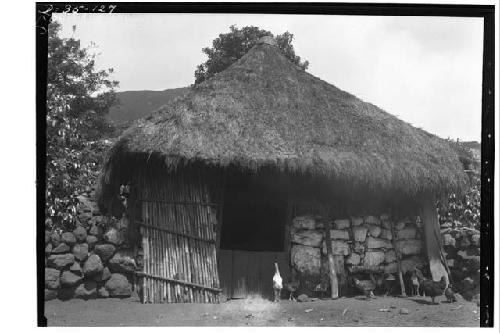 House with half stone, half cane walls