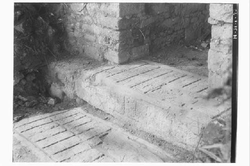 Stucture 44 - steps in east doorway