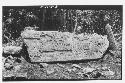 Stela 1 - lower part - single fragment, Stela 29 on right