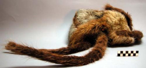 Man's cap or head band of marmot skin.