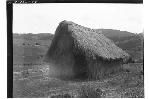 Granary with Thatched Walls