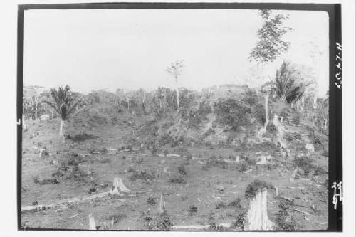 Mound B looking E. from top center of Mound A. Two trenches dug E. and W.