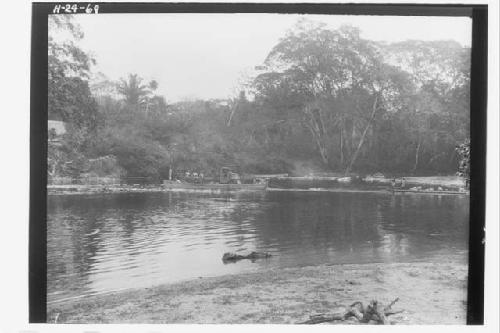 Tractor belonging to American Chicle Co. going up river