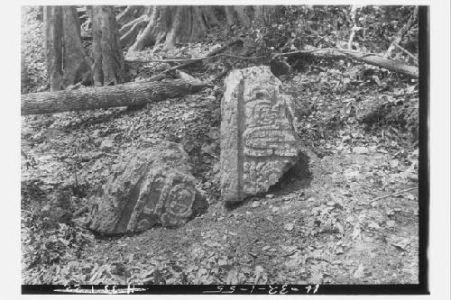 Stela 39 and 40 - top fragments