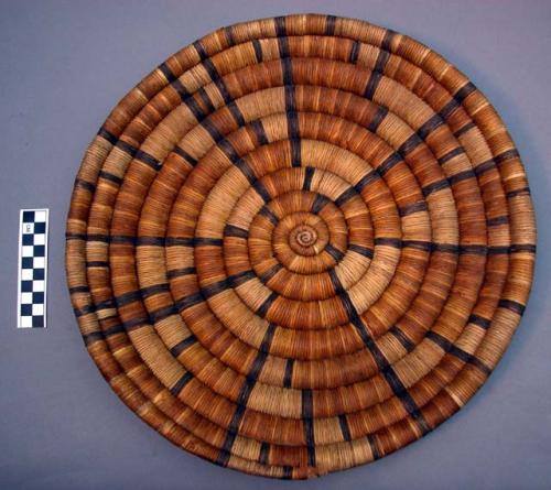 Coiled circular plaque basket