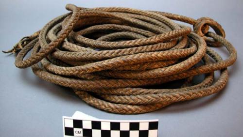 Plaited rawhide lasso