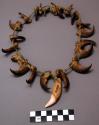 Necklace of bears claws
